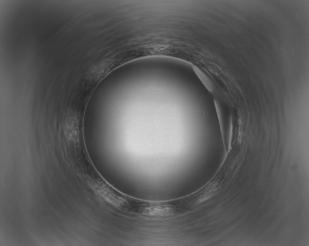 X0000084550274200702231213