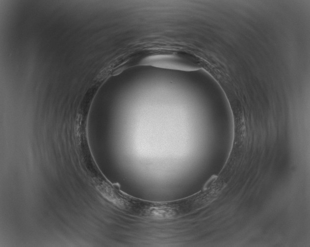 X0000084550275200702231213