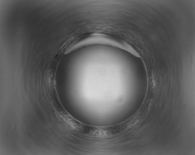X0000084550276200702231213