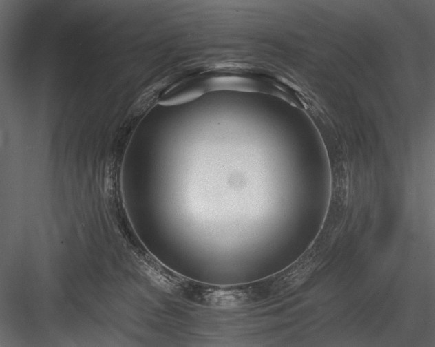 X0000084550277200702231213