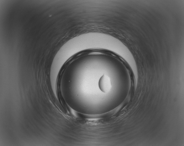 X0000084550280200702231213