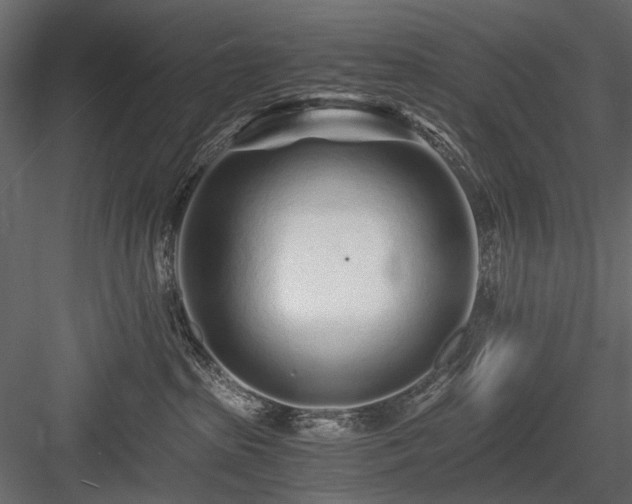 X0000084550285200702231213