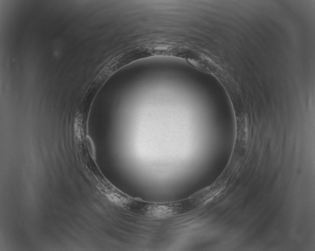 X0000084550287200702231213