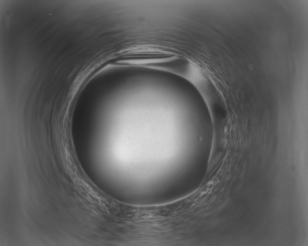 X0000084550289200702231213