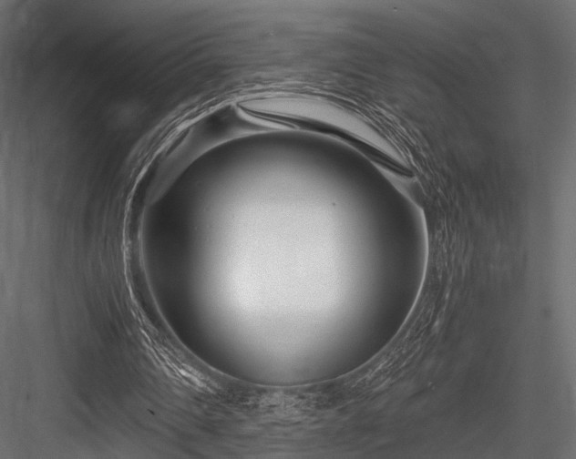 X0000084550290200702231213