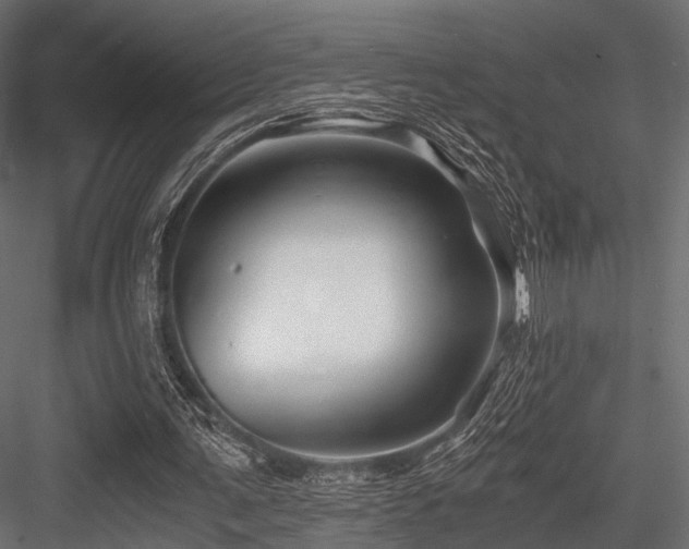 X0000084550291200702231213