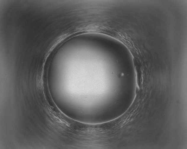 X0000084550292200702231213