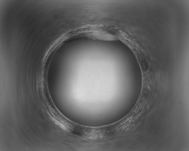 X0000084550293200702231212