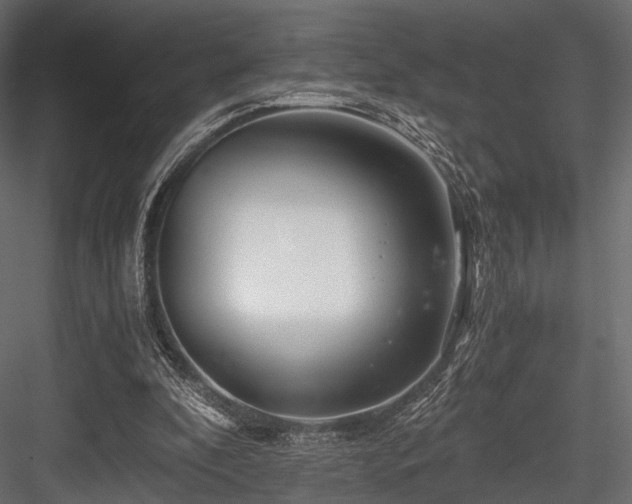 X0000084550296200702231212