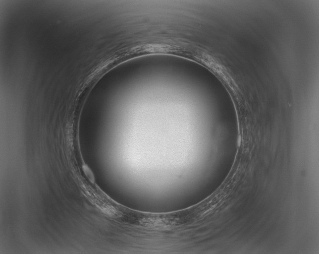 X0000084550297200702231212