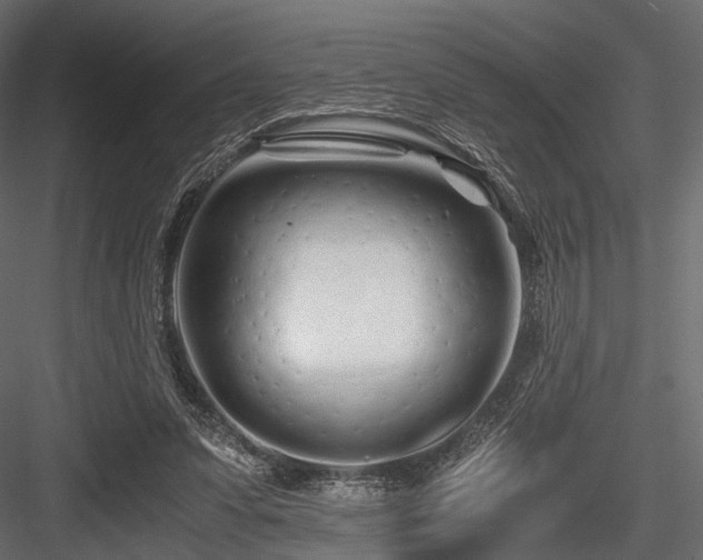 X0000084550303200702231212