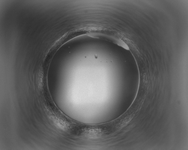 X0000084550304200702231212