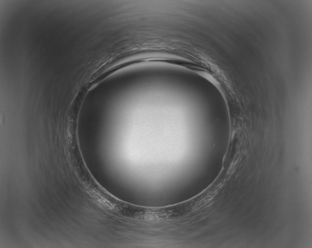 X0000084550305200702231212