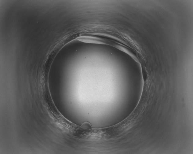 X0000084550306200702231212