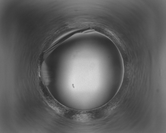 X0000084550307200702231212