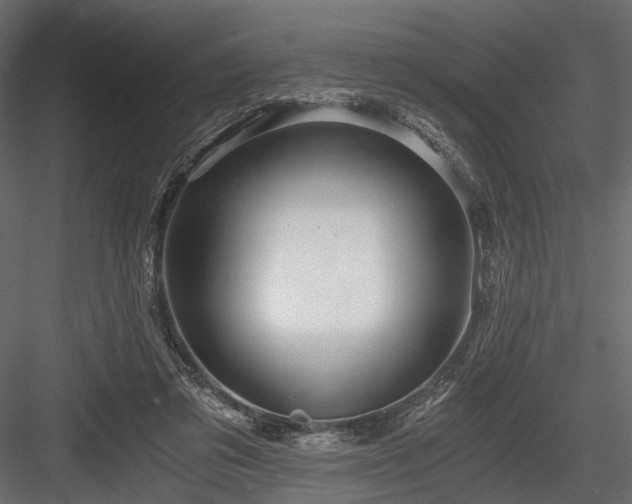 X0000084550309200702231212