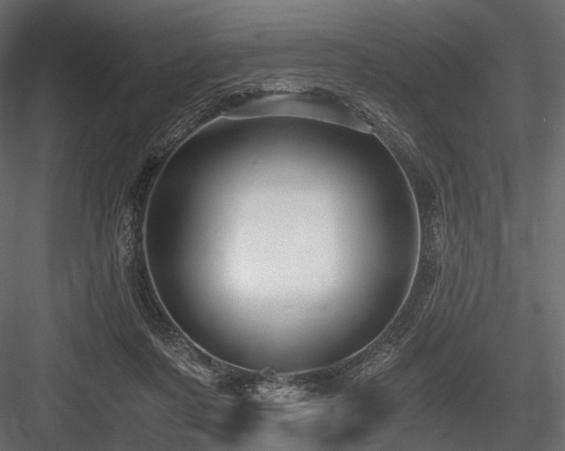 X0000084550311200702231212