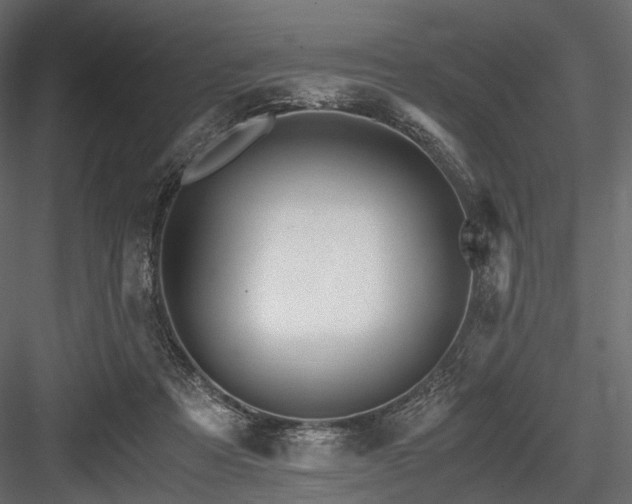 X0000084550313200702231212