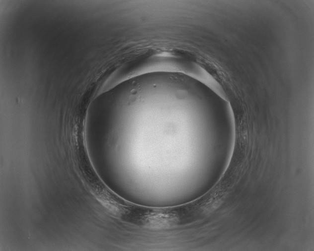 X0000084550315200702231212