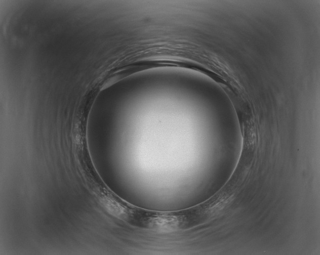 X0000084550317200702231212