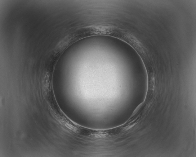X0000084550318200702231212