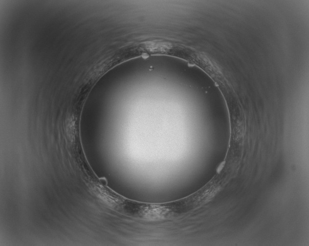 X0000084550321200702231212