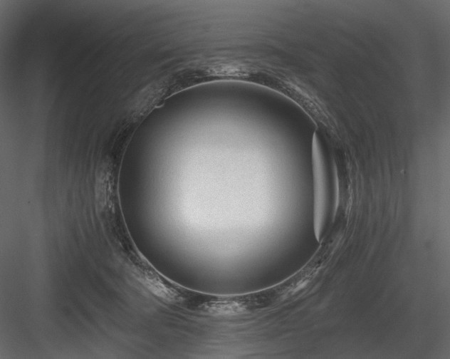 X0000084550322200702231212