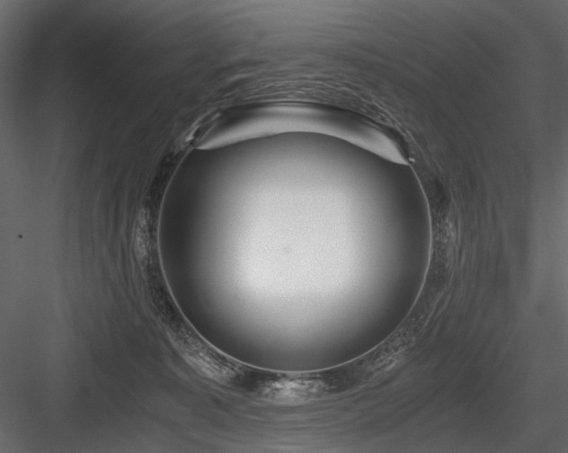 X0000084550323200702231212