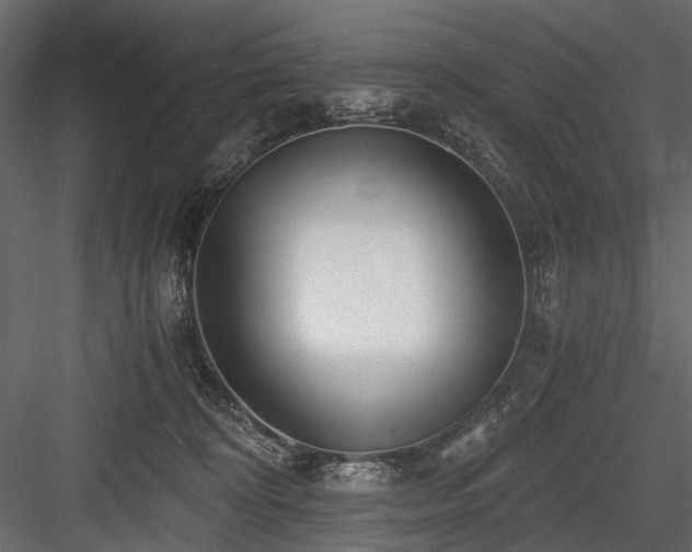 X0000084550324200702231212