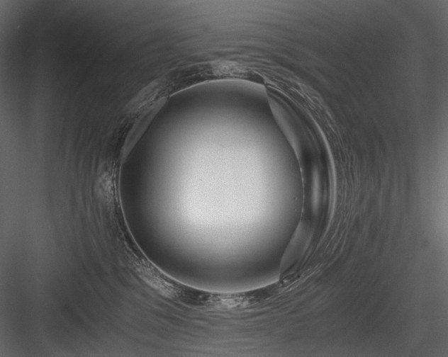 X0000084550329200702231212