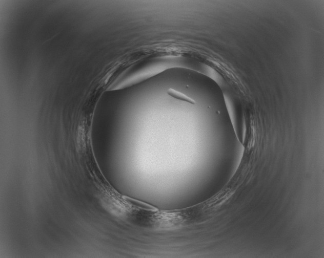 X0000084550333200702231212