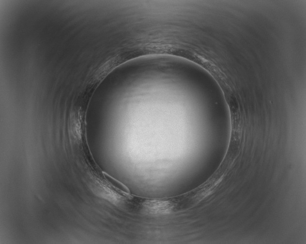X0000084550334200702231212