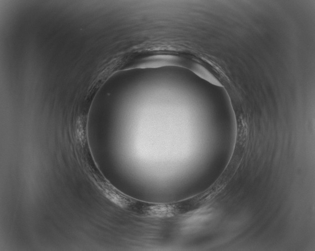 X0000084550335200702231212