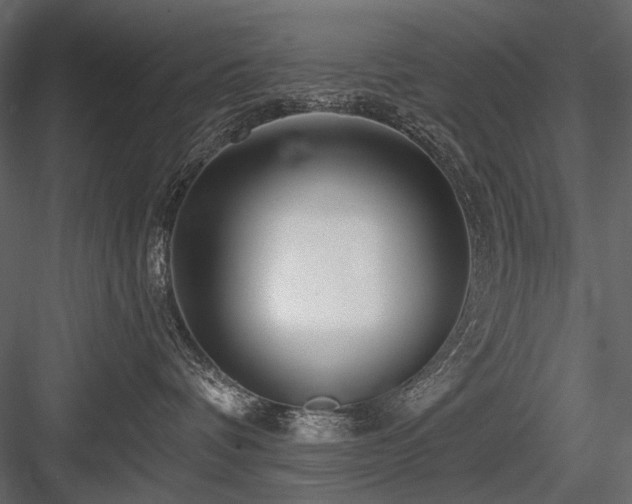 X0000084550336200702231212