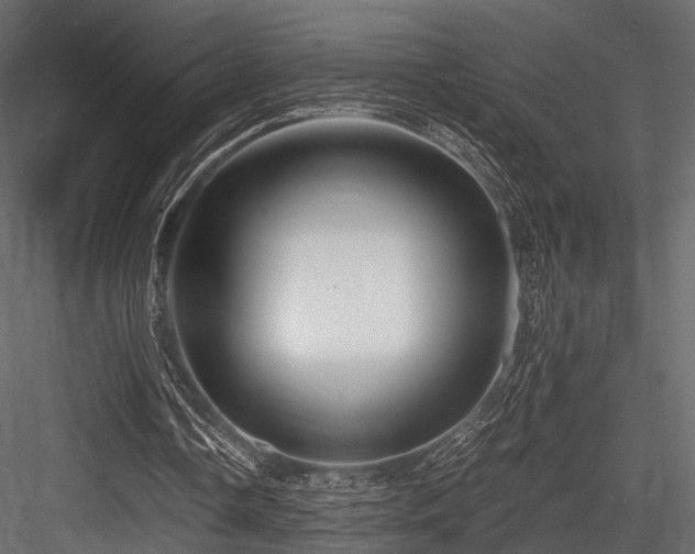 X0000084550338200702231211