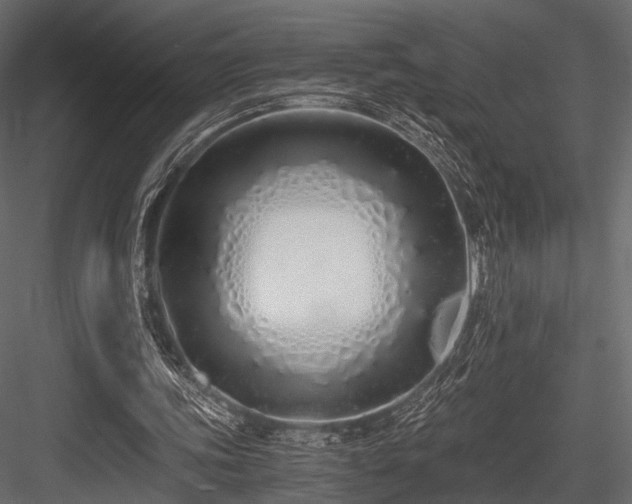 X0000084550339200702231211