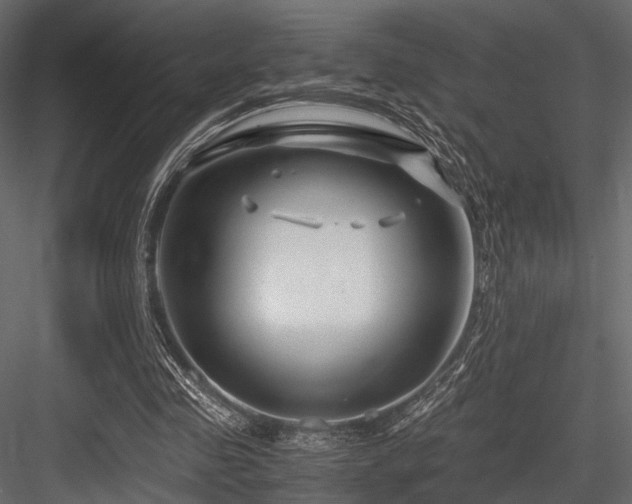 X0000084550341200702231211