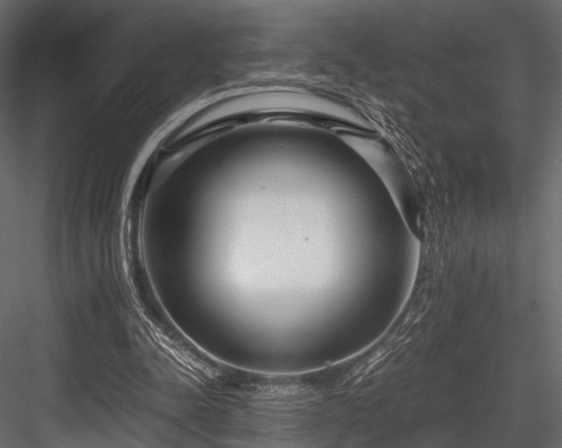 X0000084550342200702231211