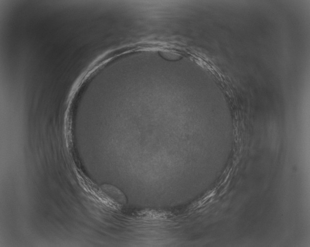 X0000084550343200702231211