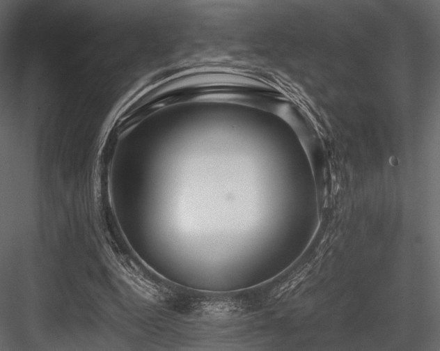 X0000084550344200702231211