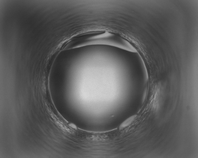 X0000084550345200702231211