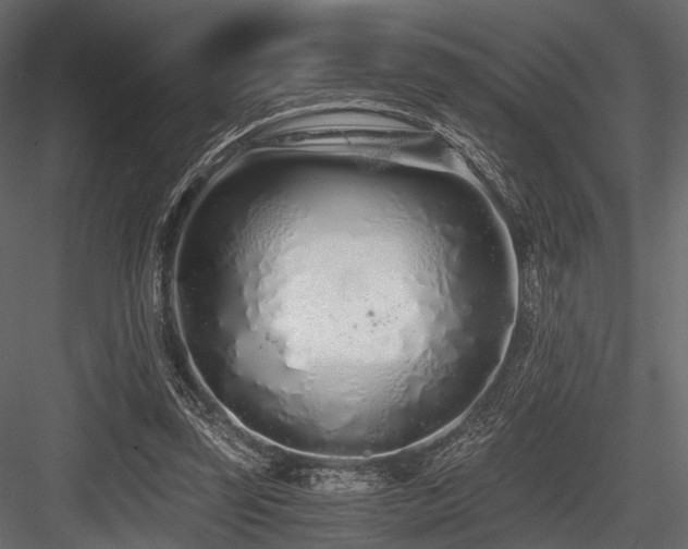 X0000084550347200702231211