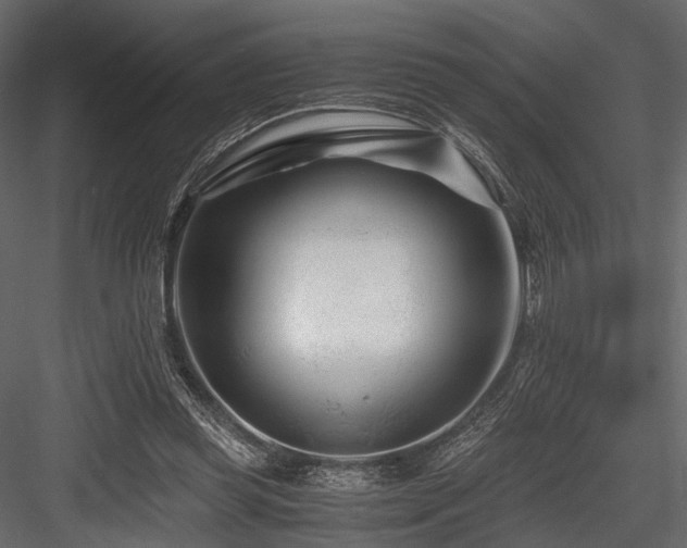 X0000084550349200702231211