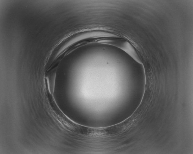 X0000084550350200702231211