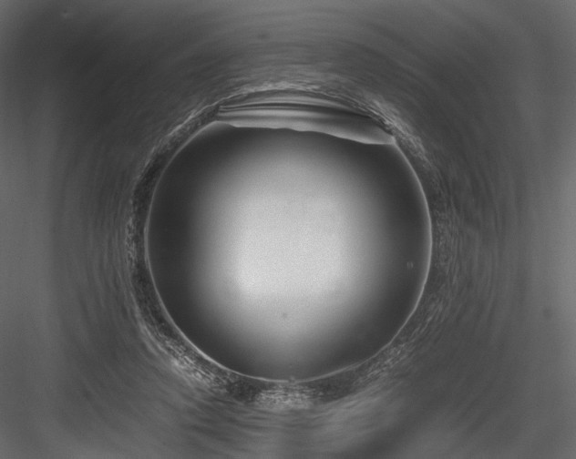 X0000084550354200702231211