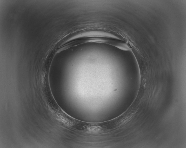 X0000084550355200702231211
