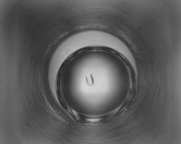 X0000084550356200702231211