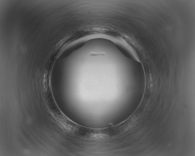 X0000084550360200702231211