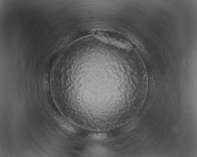 X0000084550361200702231211