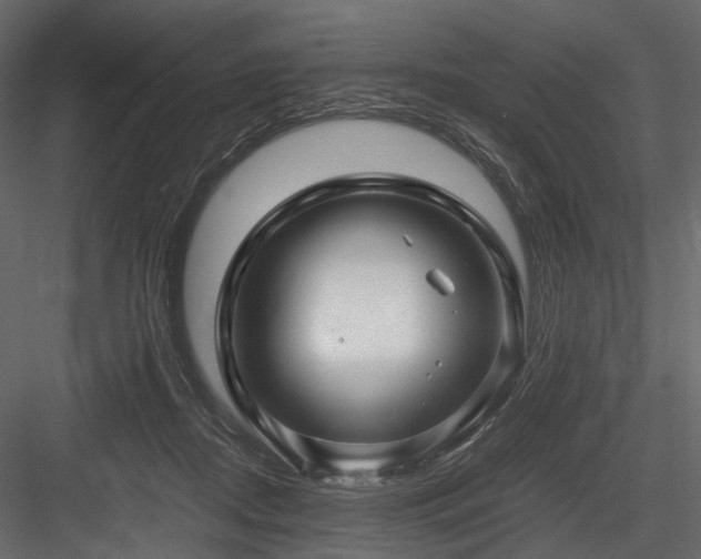 X0000084550362200702231211